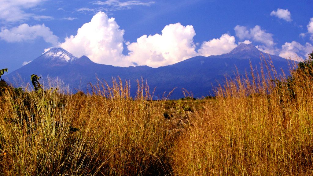 Nevado de Colima  and  Volcan de Colima